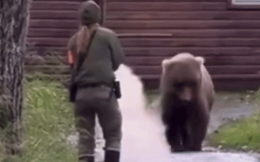 Spray de Urs Maximizat pentru Siguranță, 600 ml